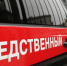 На Урале мать-убийца травила своих сыновей - Миасский рабочий