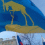 Миасс отметил третью годовщину присоединения Крыма к России - Администрация г. Миасс