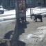 В Троицке по городу разгуливает медведь - Миасский рабочий