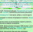 В Миассе пятый раз пройдет «Библионочь» - Администрация г. Миасс