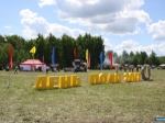 День поля