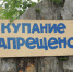 В Миасском пруду, где утонул ребенок, провели рейд - Миасский рабочий