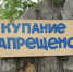 В пруду, где утонул ребенок, провели рейд - Miass-online.Ru
