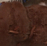 «Мммм... Мясные трюфели» - Miass-online.Ru