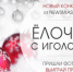 "Ёлочка с иголочки". Ждём фотографии - NewsMiass.ru