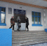 Миасс претендует на получение нескольких областных субсидий на развитие системы образования - Миасский рабочий