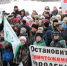 Перед администрацией Миасса прошёл согласованный митинг по экологическим проблемам - Миасский городской округ