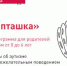 Миасских родителей приглашают поучаствовать в программе «Ранняя пташка» - Миасский рабочий