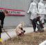 Миасские волонтеры привели в порядок мемориал в машгородке - Миасский рабочий