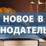 Каких изменений в законодательстве ждать россиянам с 1 ноября? - Миасский рабочий
