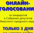 Первые итоги голосования за кандидатов в депутаты Миасса - NewsMiass.ru