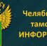 Преимущества ведомственного обжалования решений, действий (бездействия) таможенных органов и их должностных лиц - Миасский городской округ