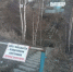 Терпение лопнуло! - NewsMiass.ru