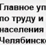 Субсидии на организацию наставничества - Миасский городской округ