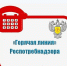 Роспотребнадзор информирует о проведении горячей линии - Миасский городской округ