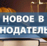 Какие законы вступают в силу в октябре? - Миасский рабочий