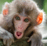 Угощаем домовых молоком и отмечаем День эволюции: праздники 24 ноября - Миасский рабочий