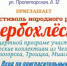 «Вербохлёст» 2023 - Библиотеки Миасса