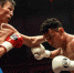 Боксер из Миасса вошел в мировой рейтинг WBA - Миасский рабочий