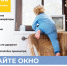 Осторожно, открытое окно! - Библиотеки Миасса