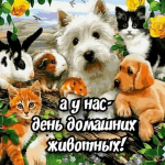 Лапы и хвосты