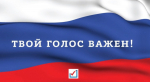 «Избирателем быть готов!»