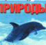 Речка, реченька, река – широка и глубока - Библиотеки Миасса