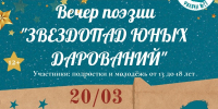 Стихи, свет и вдохновение - Библиотеки Миасса