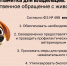 Памятка для владельцев: ответственное обращение с животными - Миасский городской округ