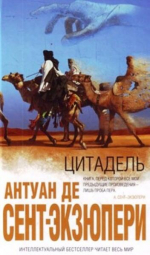 Писатель — летчик