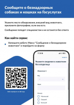 Новость