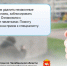 Изображение без описания. - Миасский городской округ