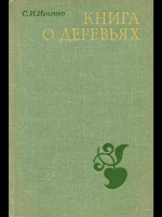Исполин уральских лесов: всё о лиственнице